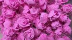 Artificial Foam Rose Flowers